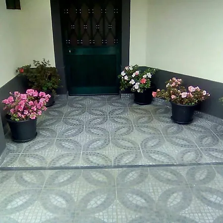 House Joel & Sonia Villa Funchal  Exterior photo